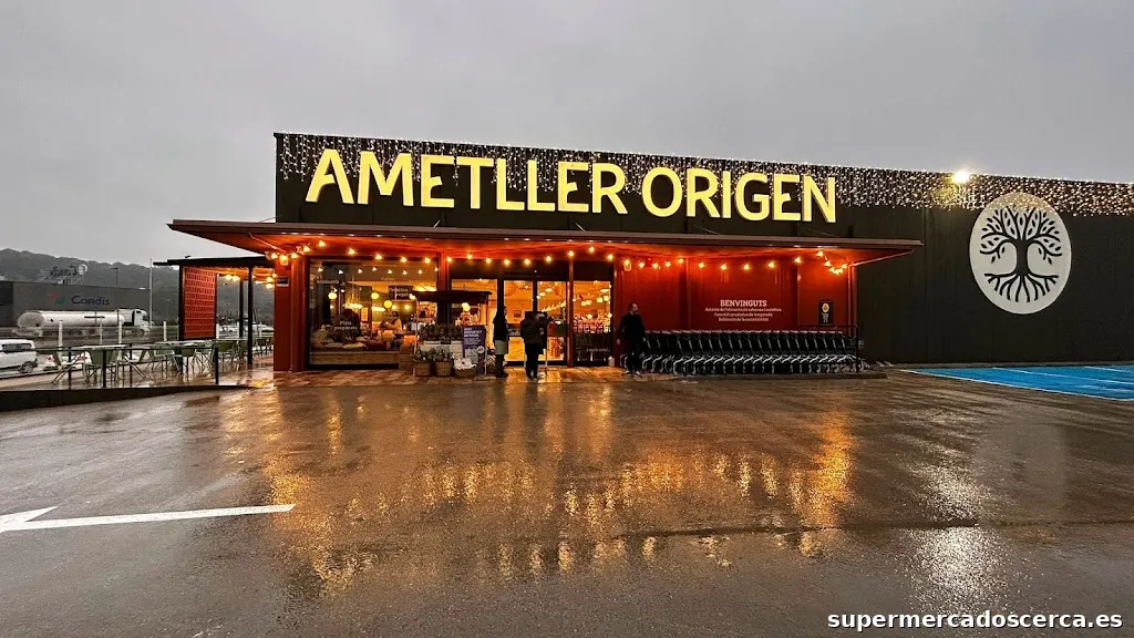 Ametller Origen