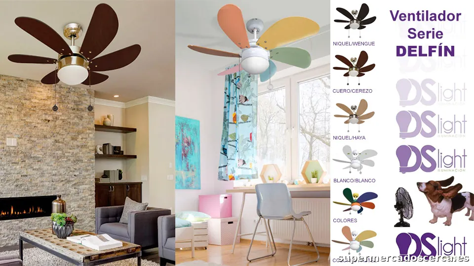 DS Light and Electrodom