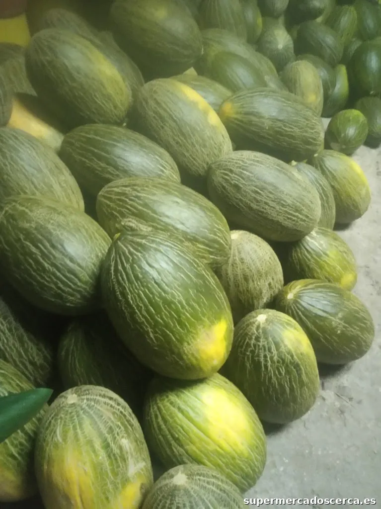 "La Huerta del Guadiana"