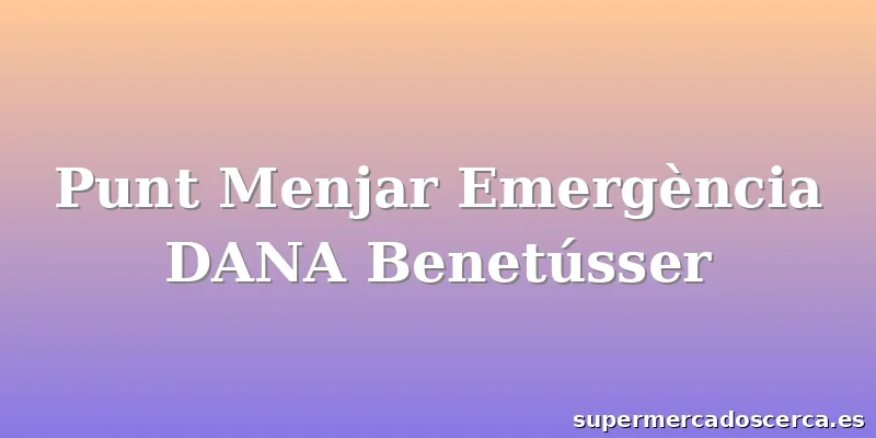 Punt Menjar Emergència DANA Benetússer