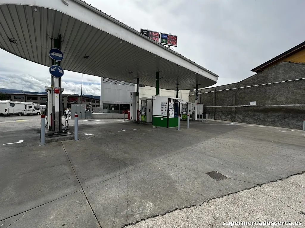 E.S.AUTOSERVEI PUIGCERDÀ S.L