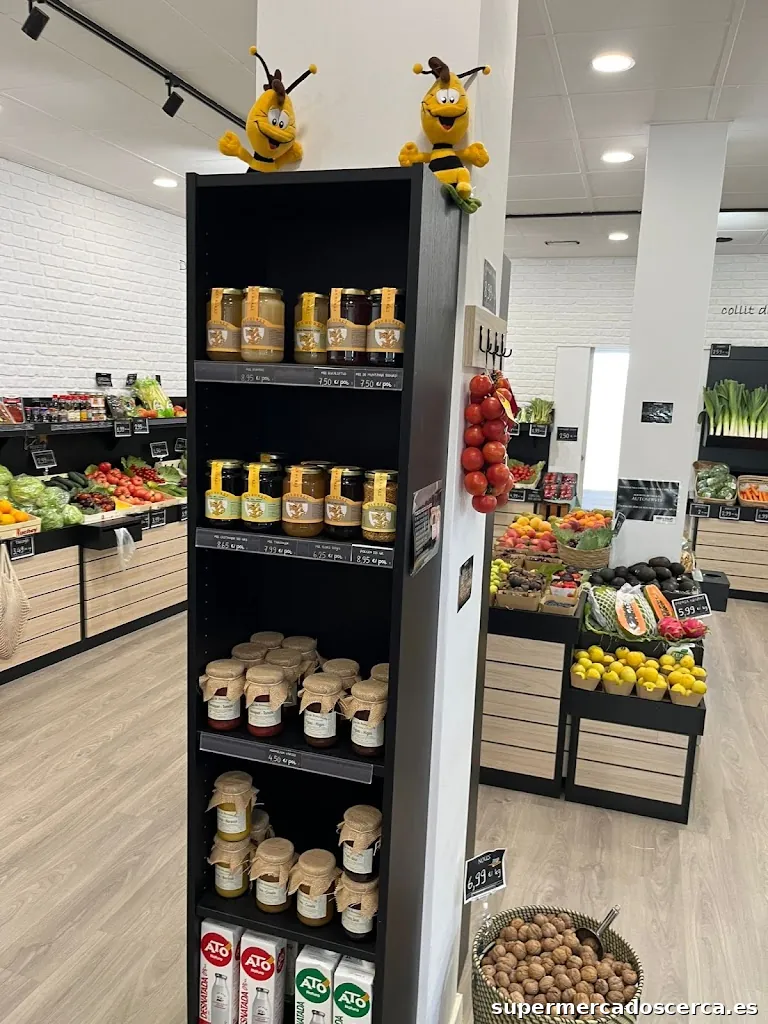 SERVIFRUIT OLESA (CAN PUCHAL)