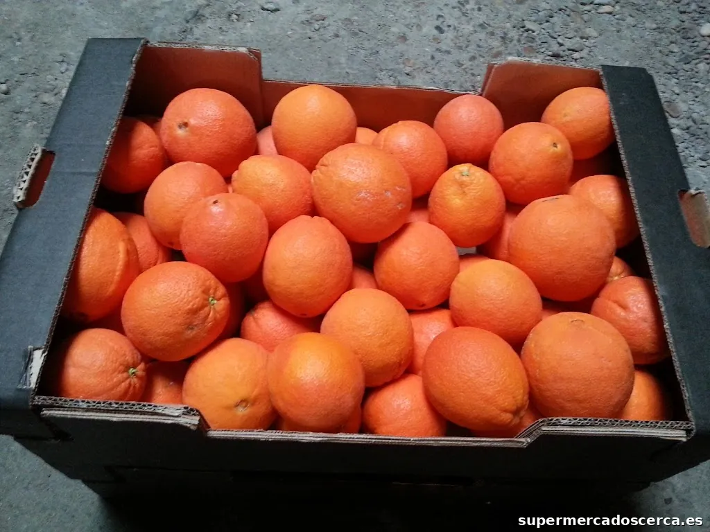 Naranjas de Palma del Río