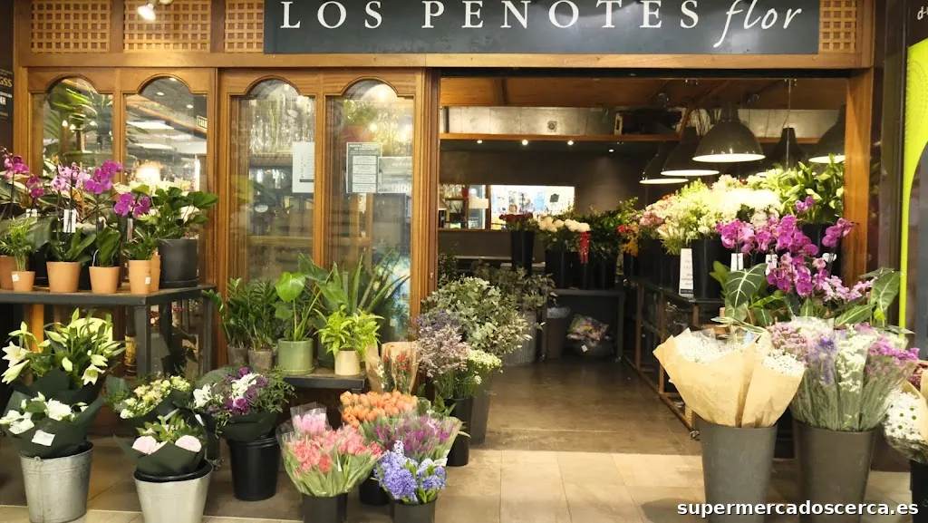 Floristería Verdecora CC Carrefour Alcobendas