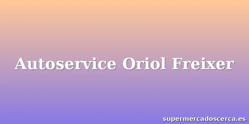 Autoservice Oriol Freixer