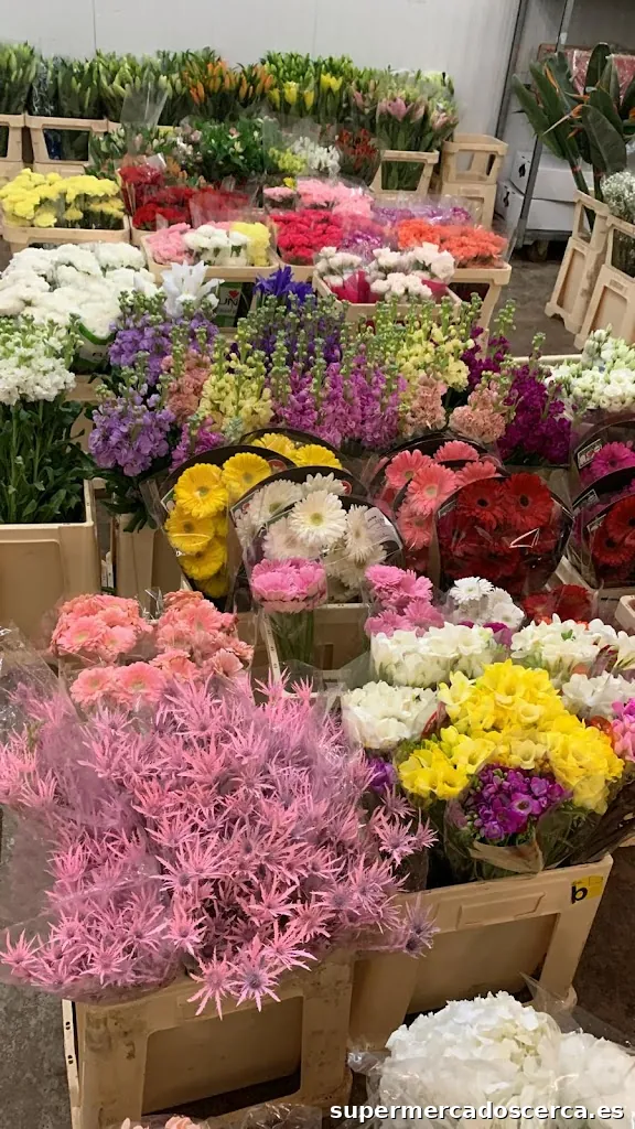 Archila Flowers España