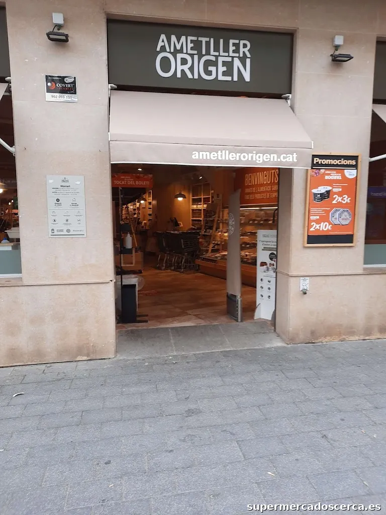 Ametller Origen