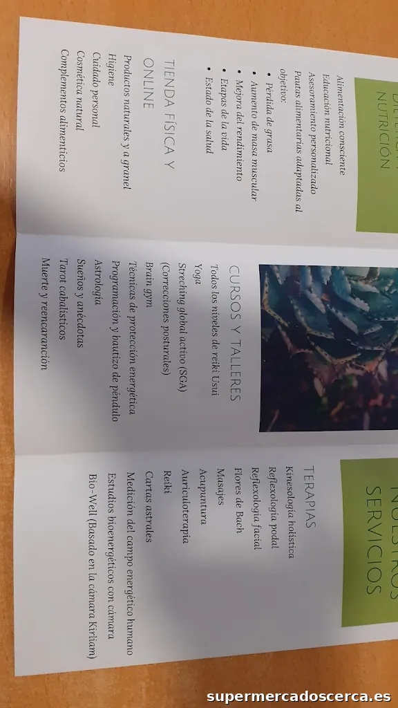 Herbodietètica L'espígol