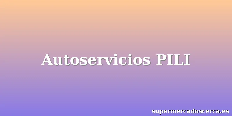 Autoservicios PILI