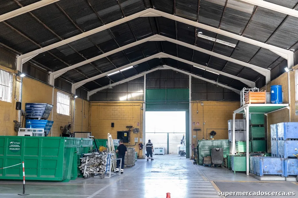 RECUPERACIONES TRIFEYME