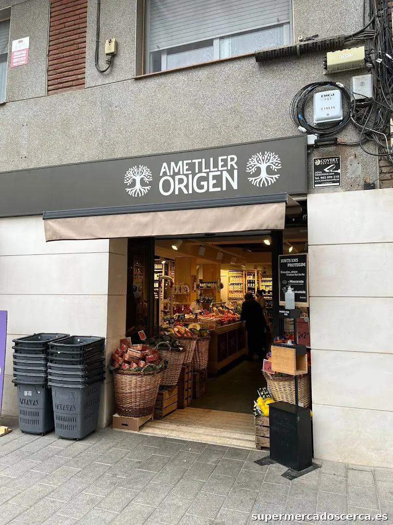 Ametller Origen