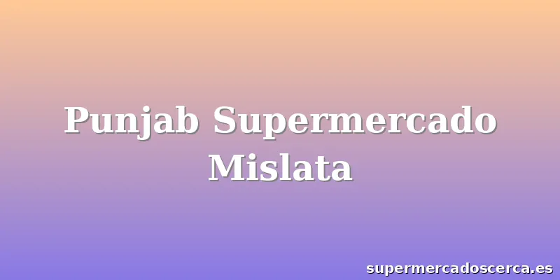 Punjab Supermercado Mislata