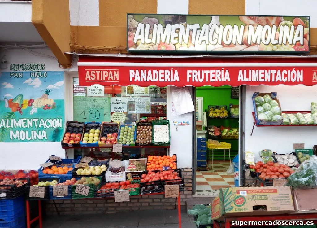 Alimentación Molina