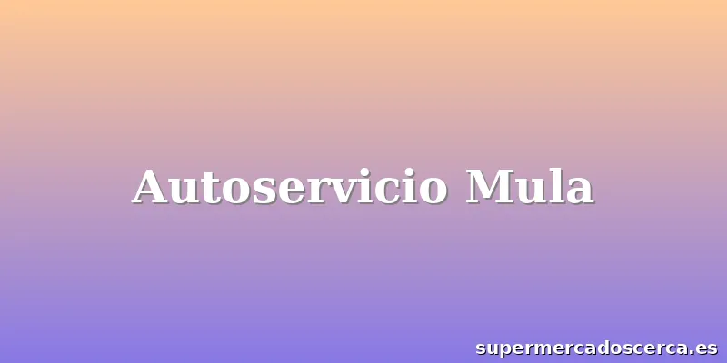 Autoservicio Mula