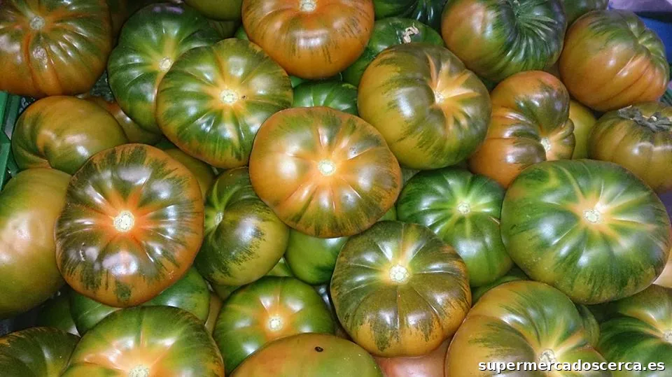 Supermercado alimentación Bodega la Esquina