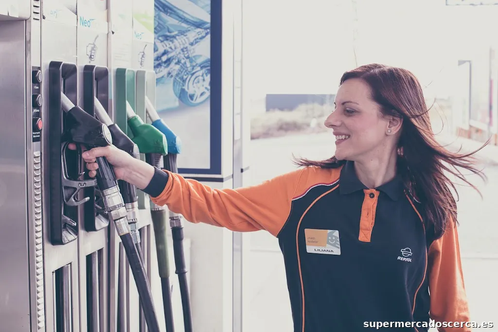 Ciudad del Transporte del Poniente S.L.