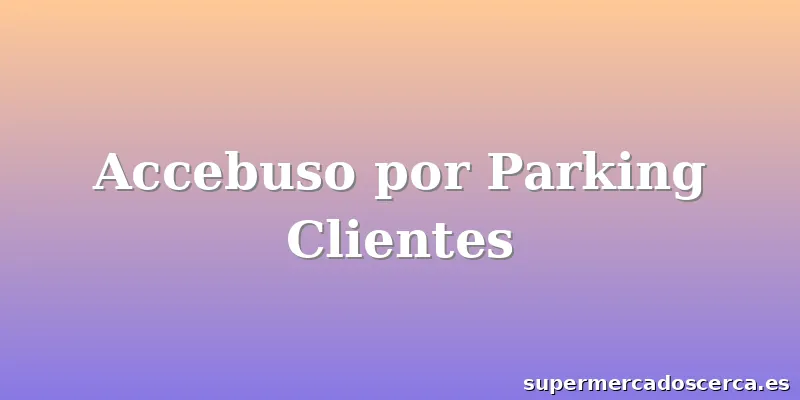 Accebuso por Parking Clientes