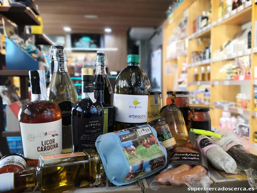 Gasolinera Estació de Servei Setelsis