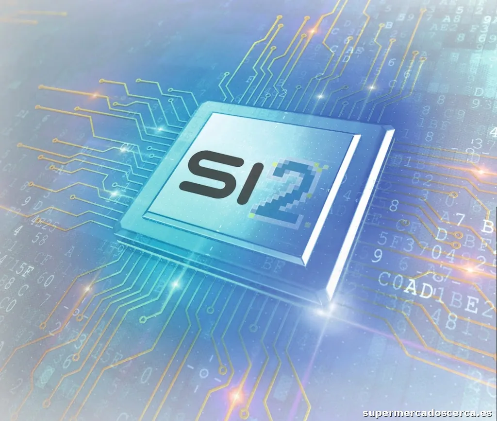 Si2 Informàtica