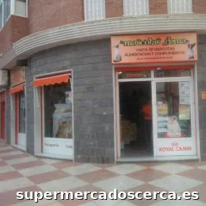 Mascotas dama (FILOLEG)