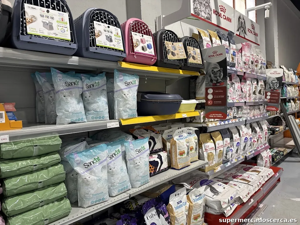 Masmascotas Vall d'uixó