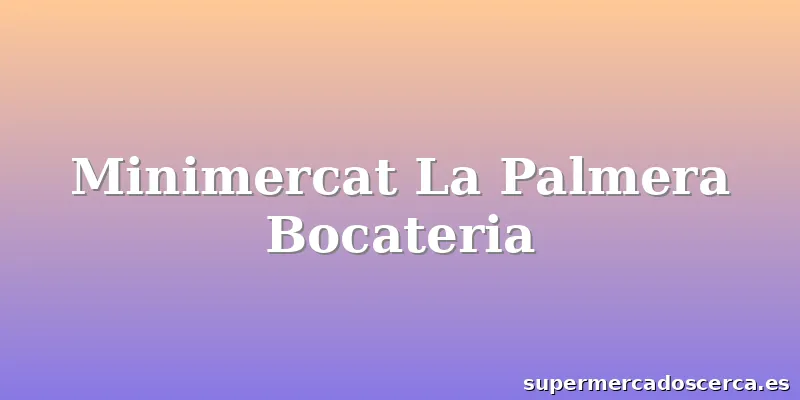 Minimercat La Palmera Bocateria