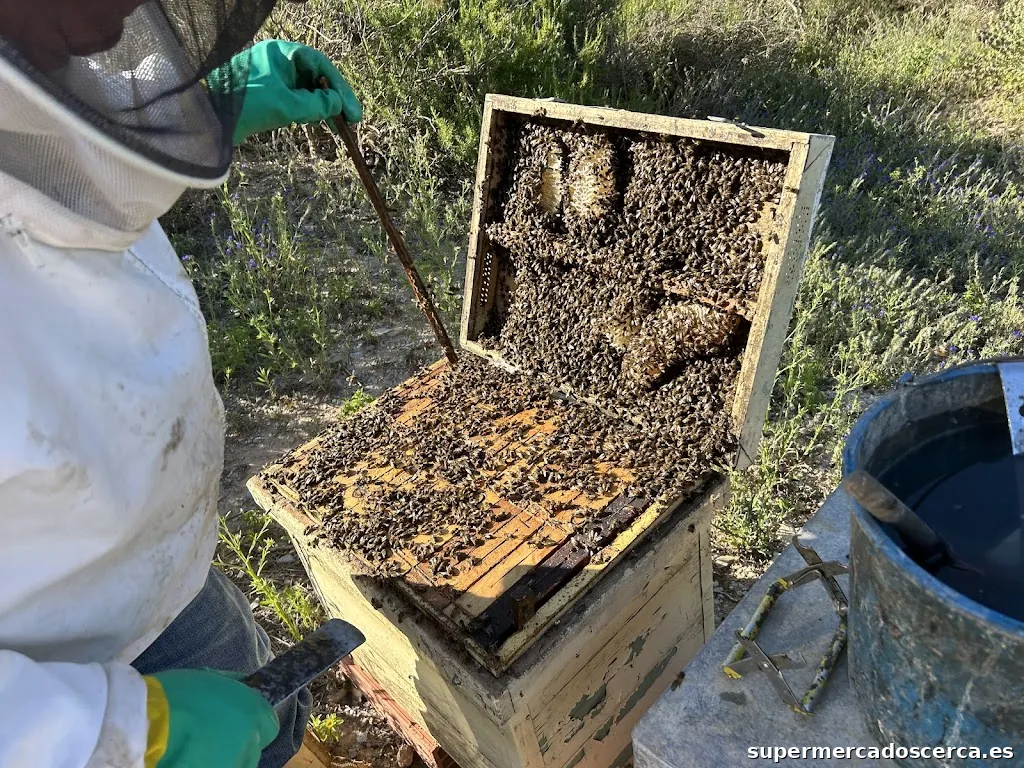 Mieles Balsas - MIEL CRUDA 100% Española