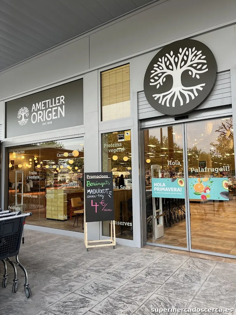 Ametller Origen