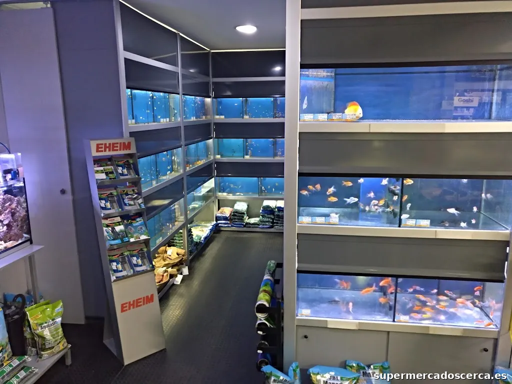 Hiperfauna Martorell