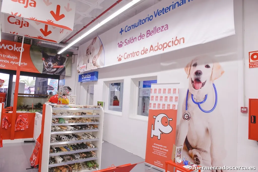 Kiwoko. Mundo Animal