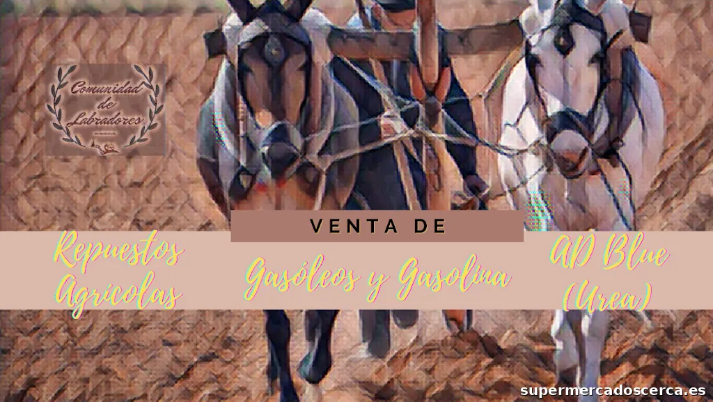 Comunidad De Labradores De Madridejos