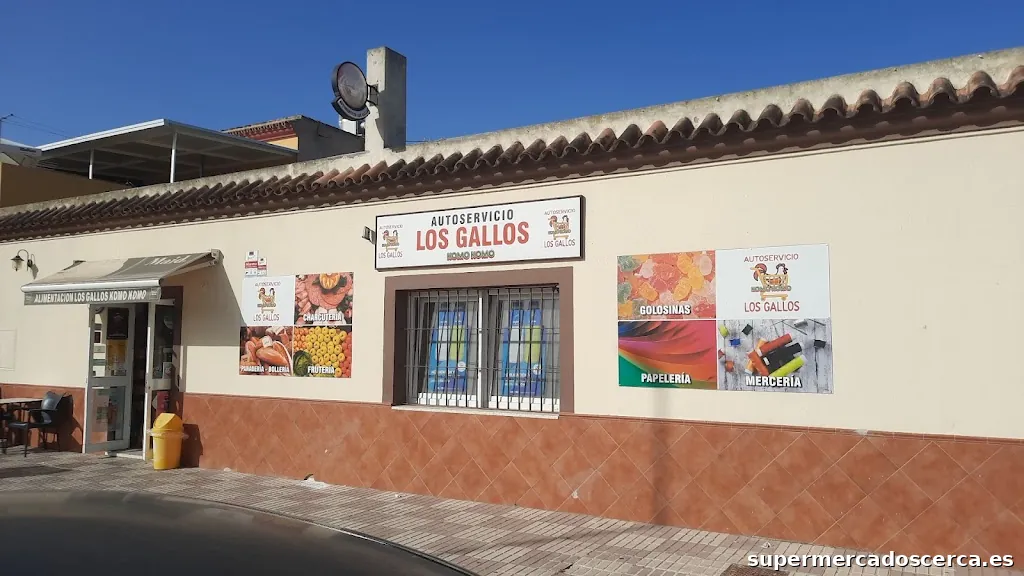Autoservicio los Gallos