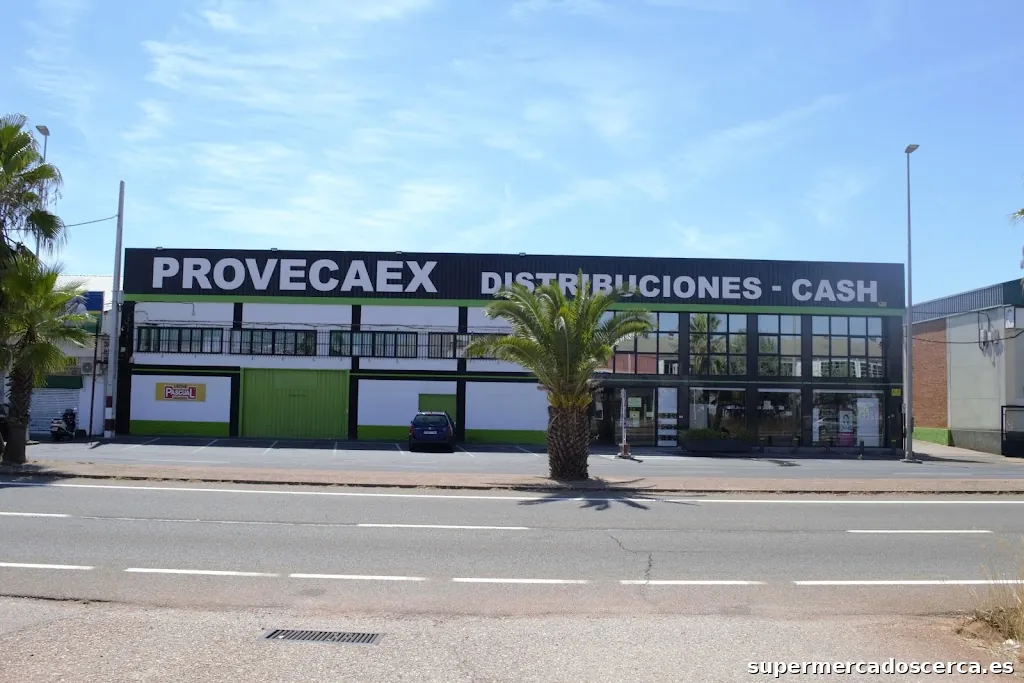 Provecaex S.L.