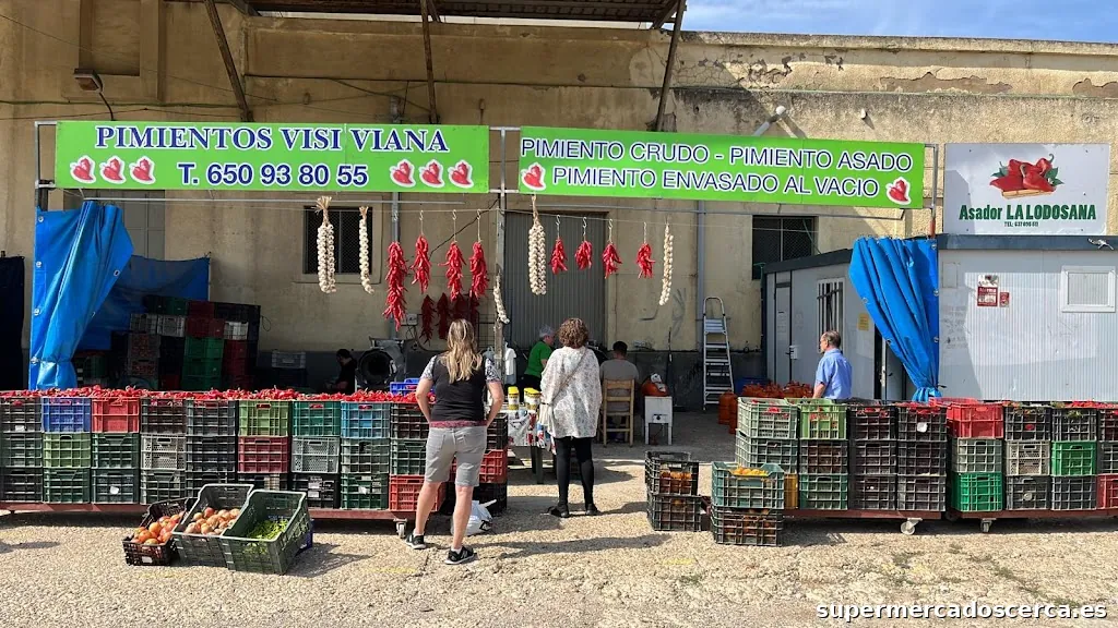 Los Tesoros De Bartolo VISI VIANA-LA LODOSANA